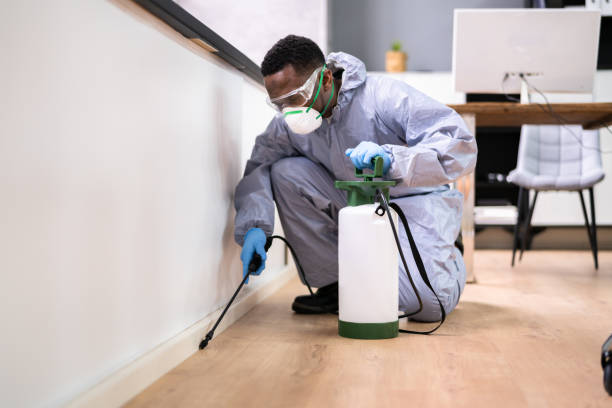 Best Commercial Pest Control  in La Paloma, TX